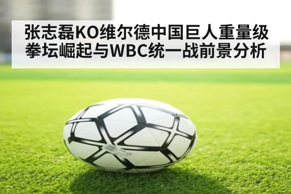 张志磊KO维尔德中国巨人重量级拳坛崛起与WBC统一战前景分析